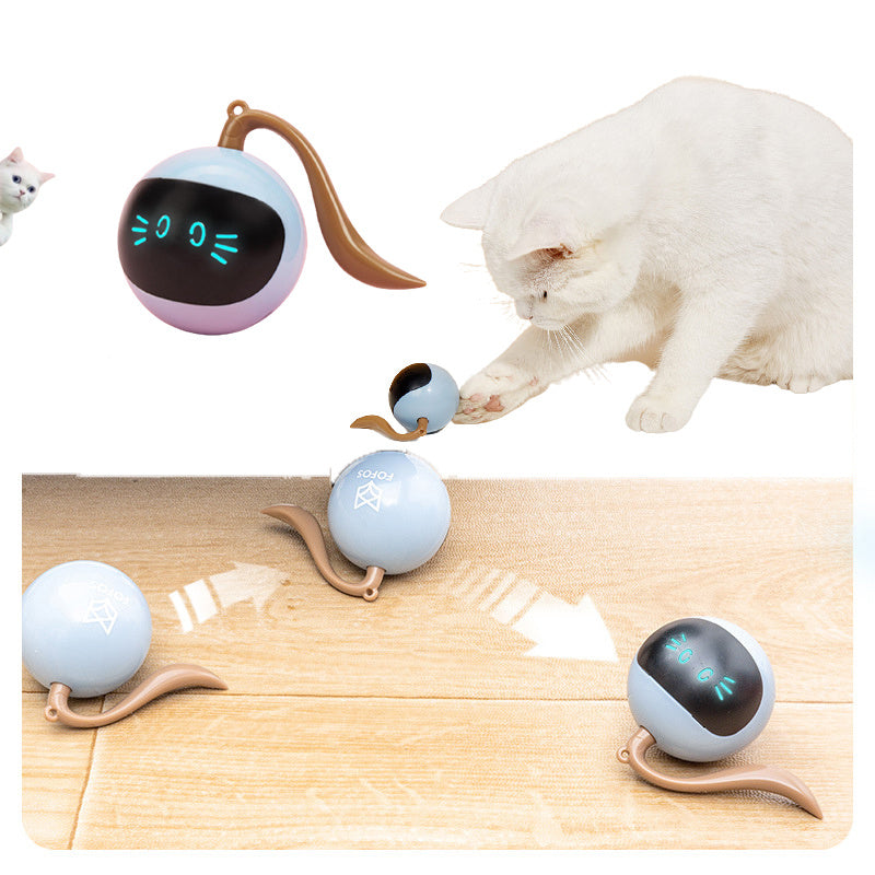 Interaktiver LED-Spielball für Haustiere